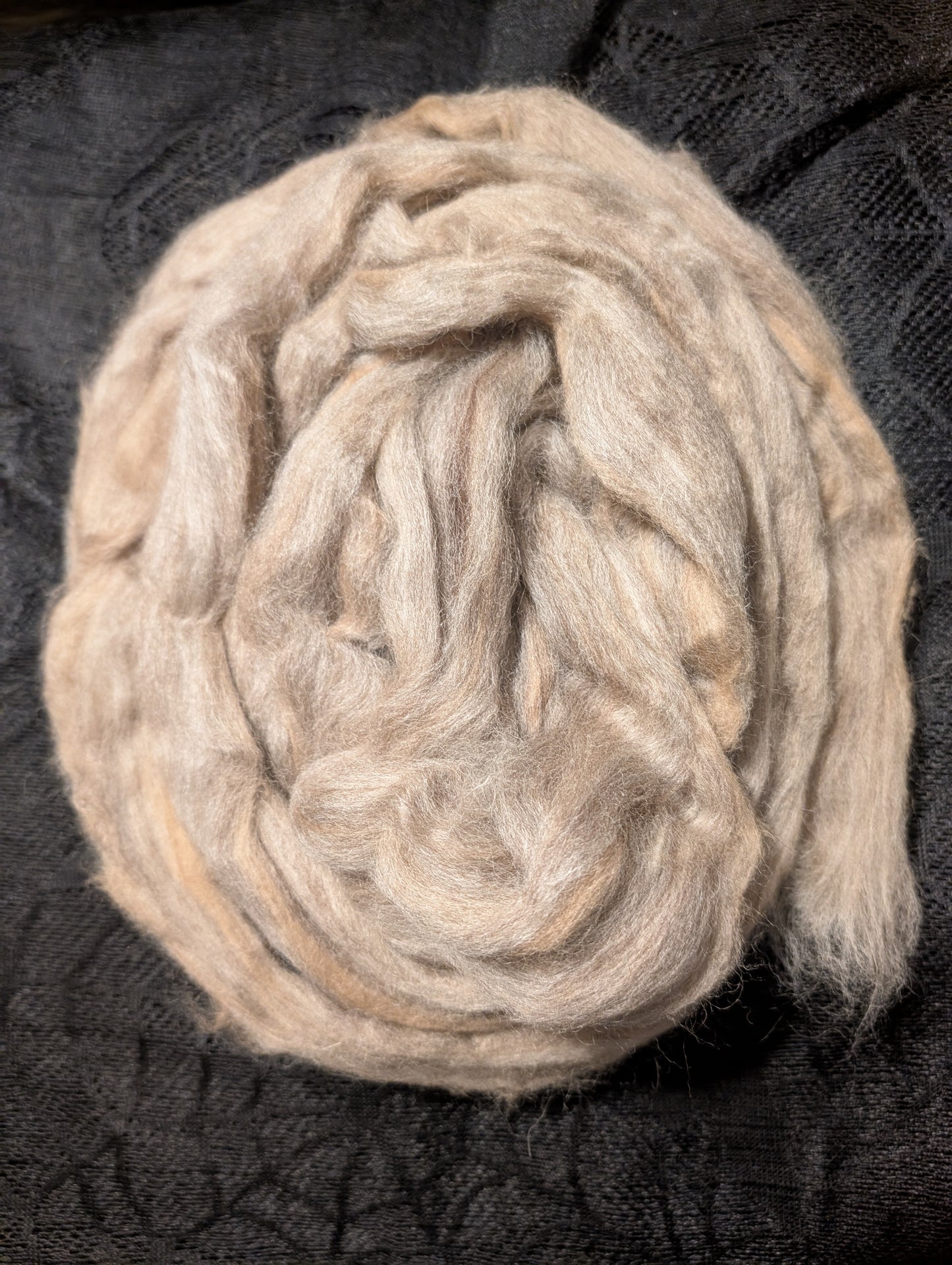 Natural Colour Oatmeal Blue Faced Leister (BFL) and Baby Camel Blend Top